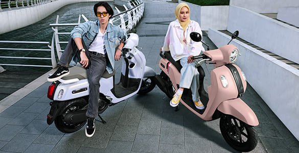 Fresh, Simple & Modern Design